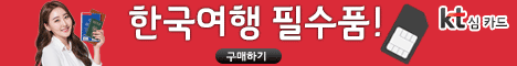한국출장 및 여행 필수품 넷피플 한국 심카드
