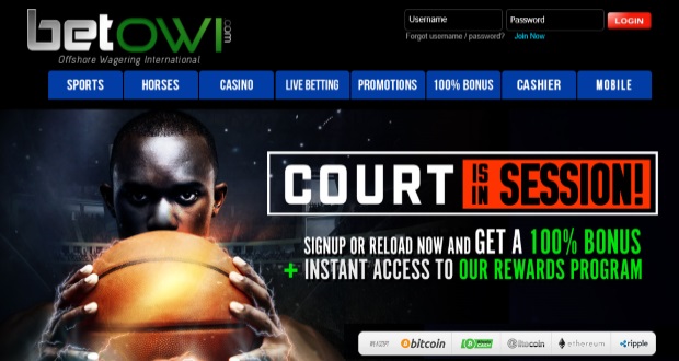BetOwi Sports Betting Review