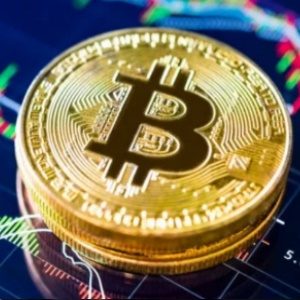 Bitcoin Online Gambling Trends for 2021: Bitcoin Banking on the Rise