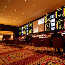 DC Sports Betting Operation Gets Mixed Reviews