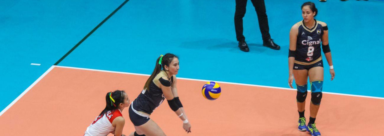 Factors to Consider When Betting on Volleyball