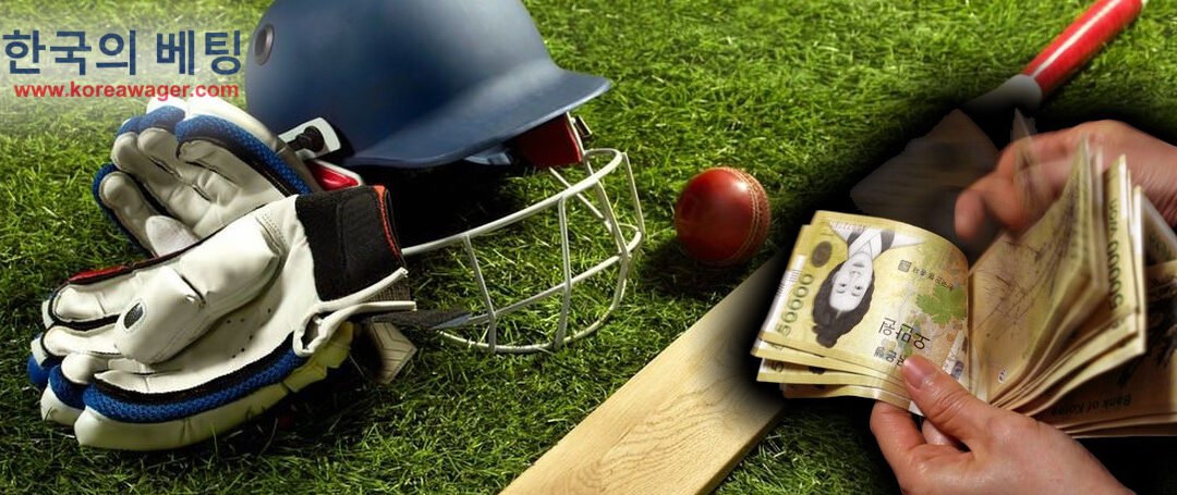 Learn How to Bet on Cricket